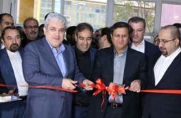 واکنش شاپور محمدی به مطرح شدن نامش در کنار همتی به عنوان گزینه های ریاست بانک مرکزی