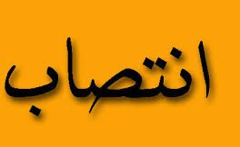 مشاور امور مدیریت ریسک بیمه آرمان منصوب شد